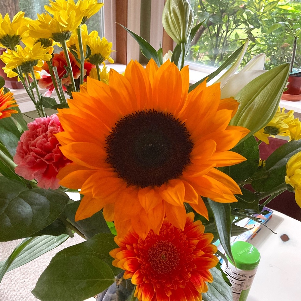 Meet your Posher, Michelle